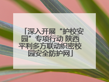 深入开展“护校安园”专项行动 陕西平利多方联动织密校园安全防护网