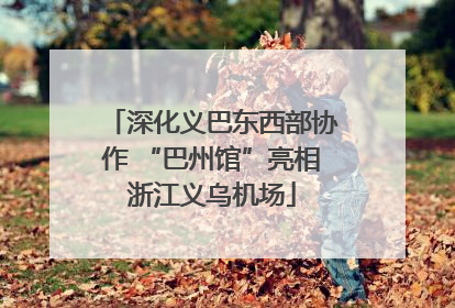 深化义巴东西部协作 “巴州馆”亮相浙江义乌机场