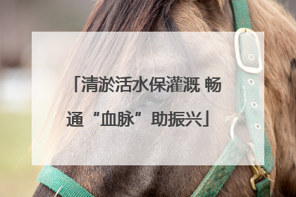 清淤活水保灌溉 畅通“血脉”助振兴