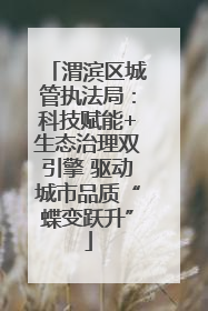 渭滨区城管执法局：科技赋能+生态治理双引擎 驱动城市品质“蝶变跃升”