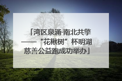 湾区泉涌·南北共擎——“花楸树”杯明湖慈善公益跑成功举办