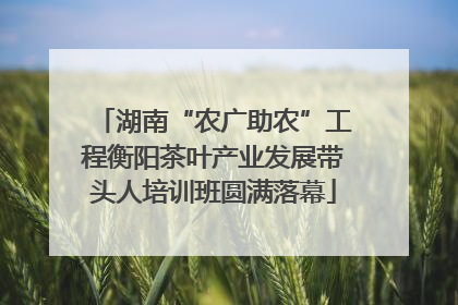 湖南“农广助农”工程衡阳茶叶产业发展带头人培训班圆满落幕