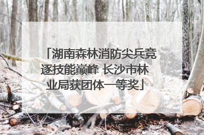湖南森林消防尖兵竞逐技能巅峰 长沙市林业局获团体一等奖