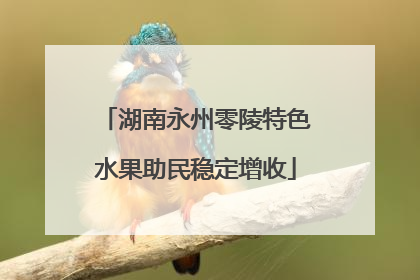湖南永州零陵特色水果助民稳定增收