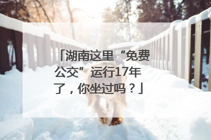 湖南这里“免费公交”运行17年了，你坐过吗？