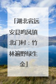 湖北省远安县鸣凤镇北门村：竹林遍野绿生金