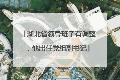 湖北省领导班子有调整，他出任党组副书记