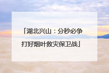 湖北兴山：分秒必争 打好烟叶救灾保卫战