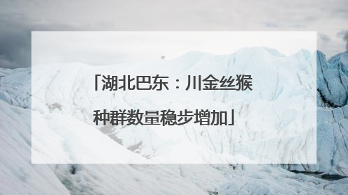 湖北巴东：川金丝猴种群数量稳步增加