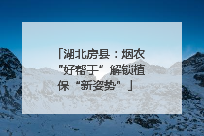 湖北房县：烟农“好帮手”解锁植保“新姿势”