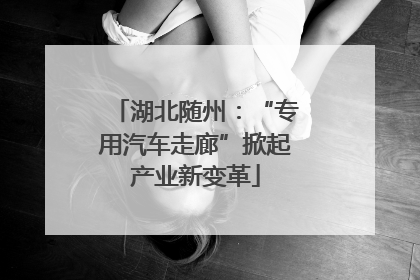 湖北随州：“专用汽车走廊”掀起产业新变革