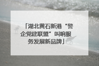 湖北黄石新港“警企党建联盟”叫响服务发展新品牌
