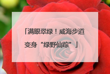 满眼翠绿！威海步道变身“绿野仙踪”