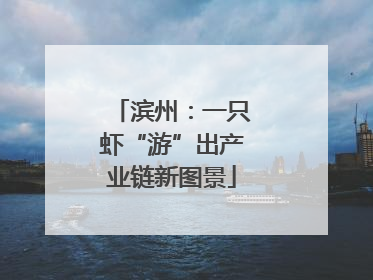 滨州：一只虾“游”出产业链新图景