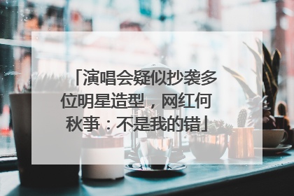 演唱会疑似抄袭多位明星造型，网红何秋亊：不是我的错