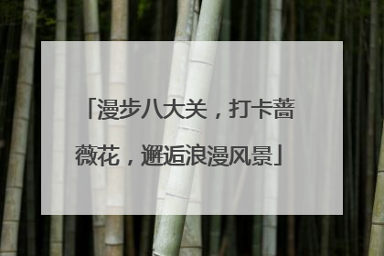 漫步八大关，打卡蔷薇花，邂逅浪漫风景
