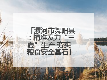 漯河市舞阳县：精准发力“三夏”生产 夯实粮食安全基石