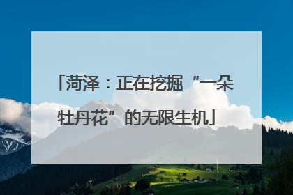 菏泽：正在挖掘“一朵牡丹花”的无限生机