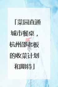 菜园直通城市餐桌，杭州邵老板的收菜计划和期待