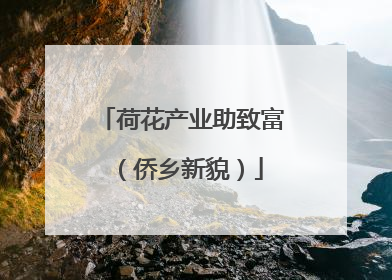 荷花产业助致富（侨乡新貌）