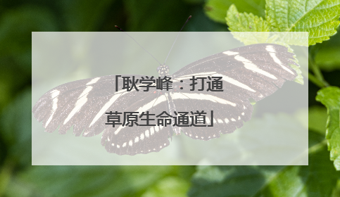 耿学峰：打通草原生命通道