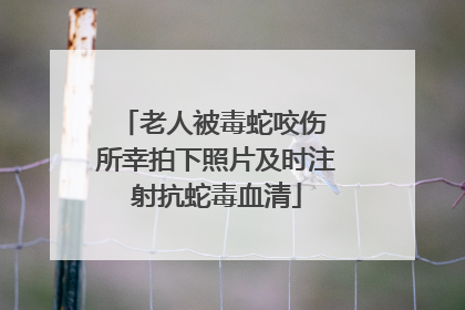 老人被毒蛇咬伤 所幸拍下照片及时注射抗蛇毒血清