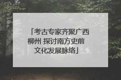 考古专家齐聚广西柳州 探讨南方史前文化发展脉络