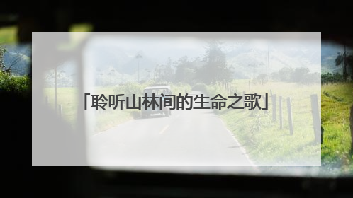 聆听山林间的生命之歌