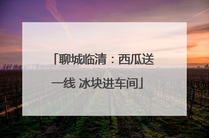 聊城临清：西瓜送一线 冰块进车间