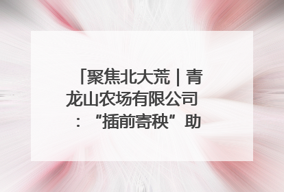 聚焦北大荒｜青龙山农场有限公司：“插前寄秧”助力农业节本增效