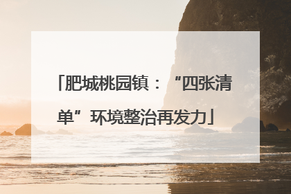 肥城桃园镇：“四张清单”环境整治再发力