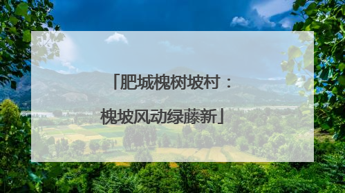 肥城槐树坡村：槐坡风动绿藤新