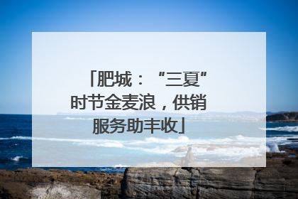 肥城：“三夏”时节金麦浪，供销服务助丰收