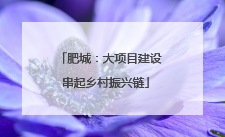 肥城：大项目建设串起乡村振兴链