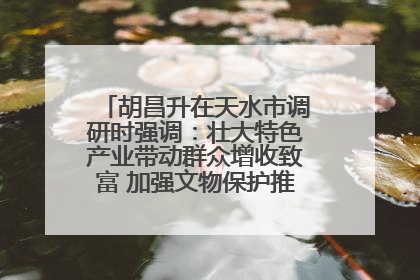 胡昌升在天水市调研时强调：壮大特色产业带动群众增收致富 加强文物保护推动文化创新发展