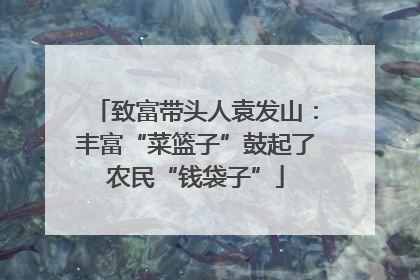 致富带头人袁发山：丰富“菜篮子”鼓起了农民“钱袋子”