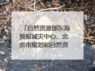 自然资源部东海预报减灾中心、北京市规划和自然资源委员会、广东省林业系统等正在招聘｜招聘信息