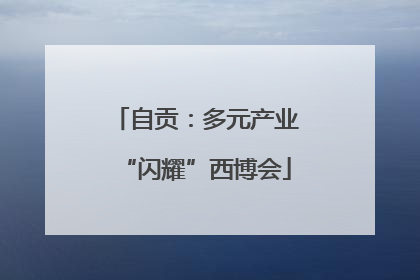自贡：多元产业“闪耀”西博会