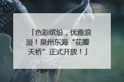 色彩缤纷，优雅浪漫！泉州东海“花瓣天桥”正式开放！