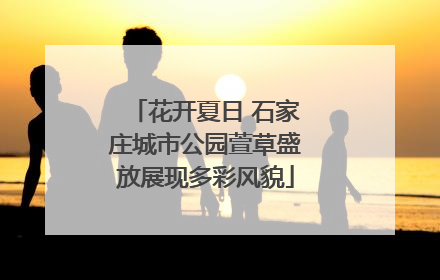 花开夏日 石家庄城市公园萱草盛放展现多彩风貌