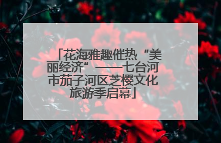 花海雅趣催热“美丽经济”——七台河市茄子河区芝樱文化旅游季启幕