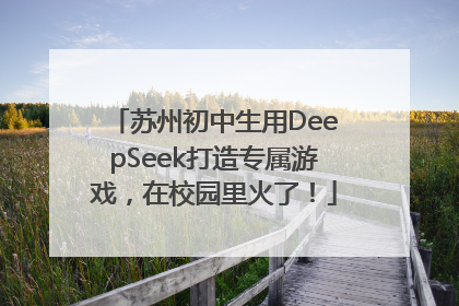 苏州初中生用DeepSeek打造专属游戏，在校园里火了！