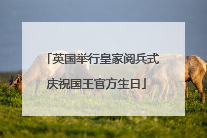 英国举行皇家阅兵式庆祝国王官方生日