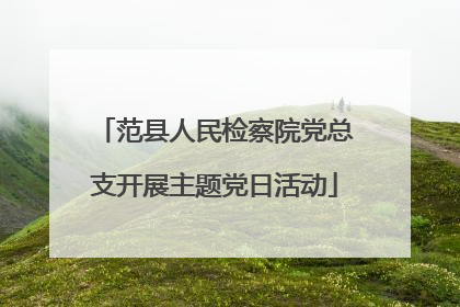 范县人民检察院党总支开展主题党日活动