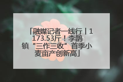 融媒记者一线行丨1173.53斤！李鹊镇“三作三收”首季小麦亩产创新高