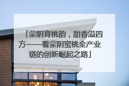 蒙阴育桃韵，甜香溢四方——看蒙阴蜜桃全产业链的创新崛起之路
