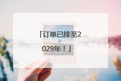 订单已排至2029年！