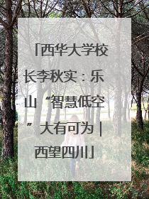 西华大学校长李秋实：乐山“智慧低空”大有可为｜西望四川