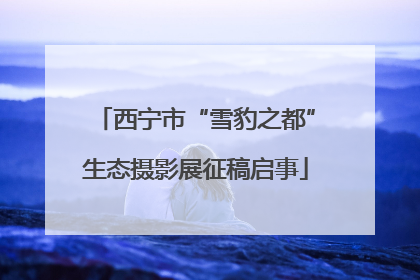 西宁市“雪豹之都”生态摄影展征稿启事