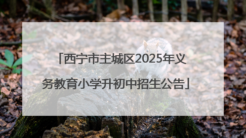 西宁市主城区2025年义务教育小学升初中招生公告